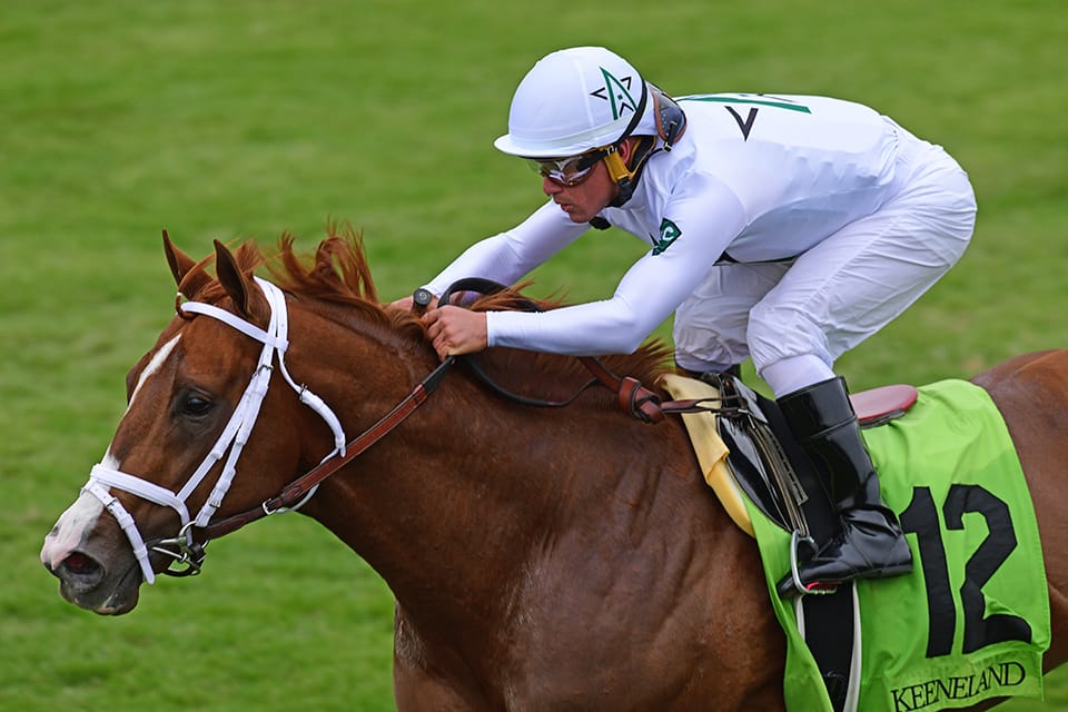 SW Bulletin KEESEP17