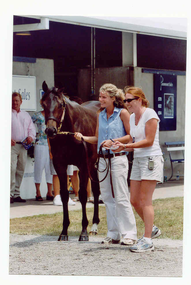 Paramount Sales 2001